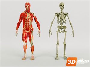 Medical Equipment Skp Files